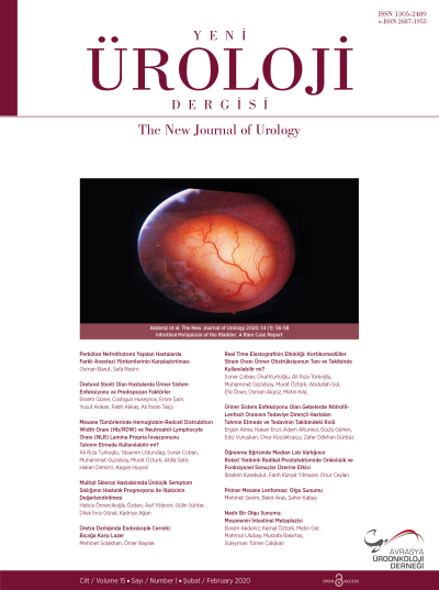 The New Journal of Urology Volume: 15 Issue: 1
