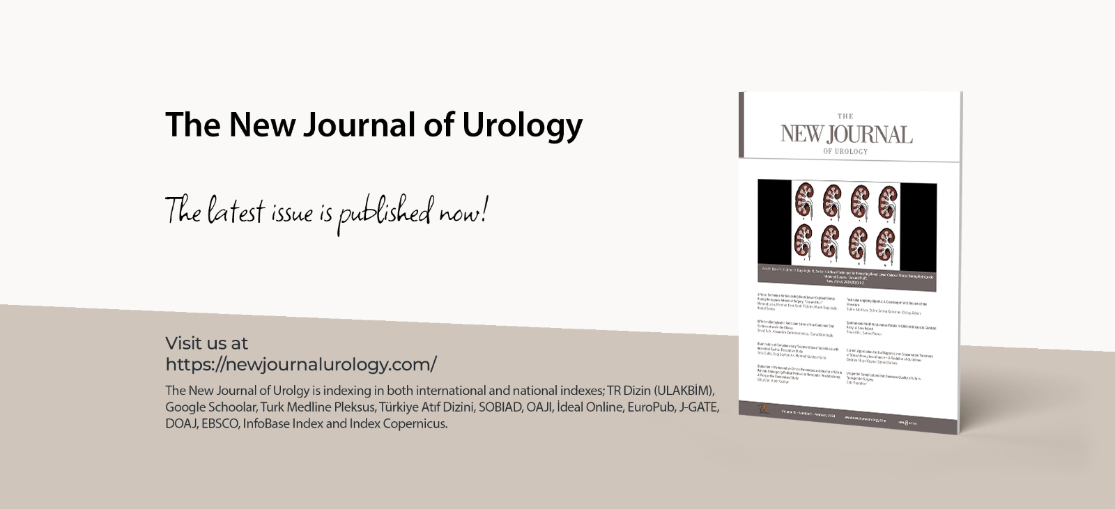 The New Journal of Urology Volume: 18 Issue: 3