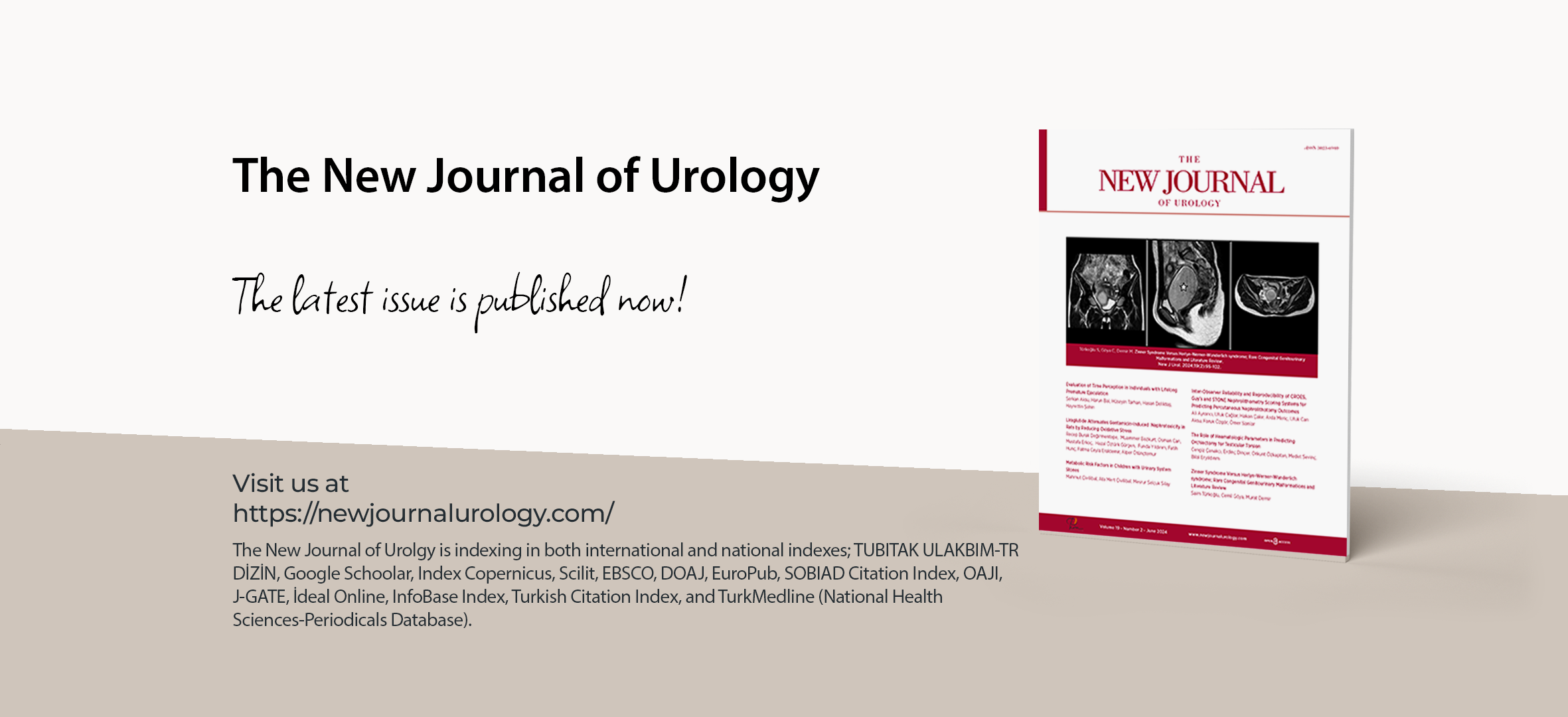 The New Journal of Urology Volume: 19 Issue: 2