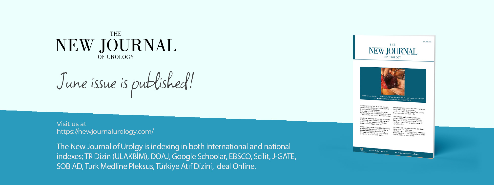 The New Journal of Urology Volume: 21 Issue: 1