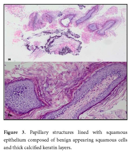 Figure 3.jpg