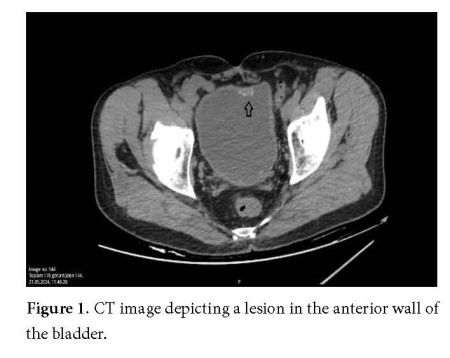 Figure 1.jpg