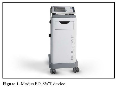 Figure 1.jpg