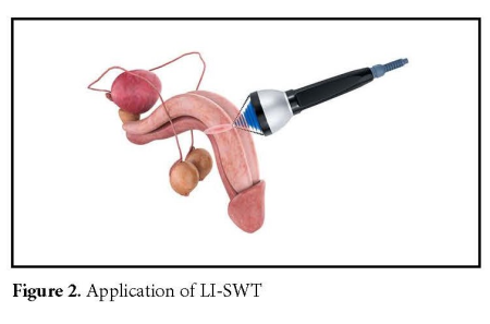 Figure 2.jpg