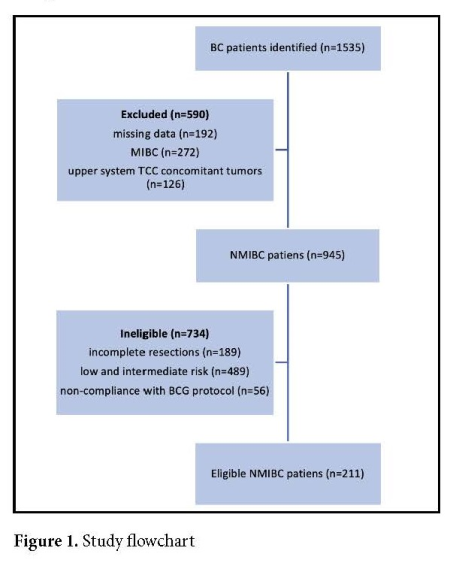 Figure 1.jpg