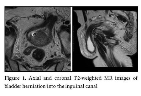 Figure 1.jpg