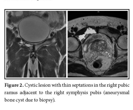 Figure 2.jpg